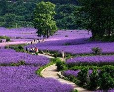 从面相看阳宅全部面相风水算命(从面相断阳宅绝招)