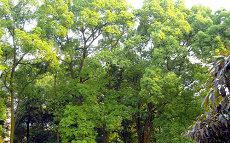 三才五格凶吉五行起名推算(起名三才五格最佳配置表)