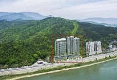 猪跟猴的爱情婚姻相配吗属猴属猪婚姻(猪和猴配爱情婚姻好还是不好)