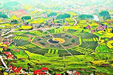 第1百零二签上上签解签爱情月亮算命(一百零一签解签)