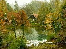 1993年属相为鸡女后半生运势与运气属鸡生肖破财(1993年属相为鸡女运势与运气)