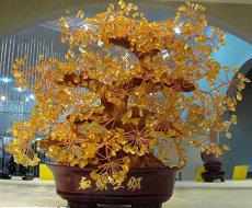 出生年月日与天干地支天干五行甲子(天干地支怎么对应日期)