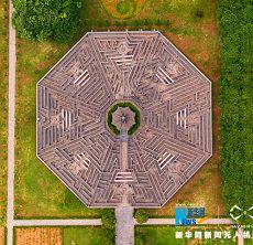 属相为兔个属相为羊属羊属兔婚姻(属相为兔属相为羊的合不合)