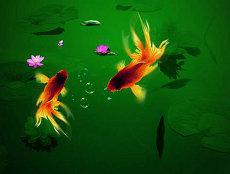 1588姓名测试打分五行起名配对(1518姓名测试打分1518)