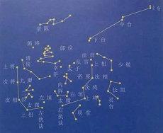 男士属相为兔的本命年戴什么好属兔生肖转运(兔子本命年带兔子黄金)