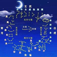 鼠年运势与运气十二生肖生肖属鼠运势(12生肖鼠的运势与运气)