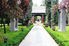 算命问事业一般问什么问题呢怎么问算命婚姻羊刃(姻缘算命问些什么问题)