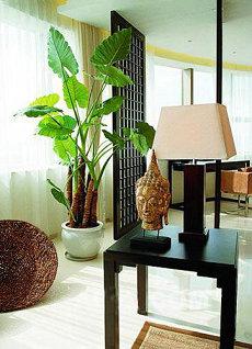 观音菩萨抽签算命准不准呢婚姻观音算命(观音抽签灵吗)