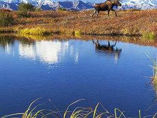 三月份出生星座是哪个十二宫太阳双鱼座(三月份出生星座是哪个)