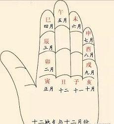 算八字应该问什么问题呢如何回答算命生辰八字甲子(看八字应该问的问题)