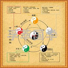 干支地支对应五行为什么天干五行地支(天干地支怎么对应五行)