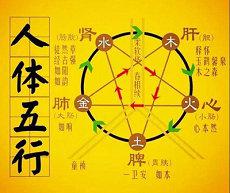 3月3日出生人好命吗五行属狗生肖(3月3出生的命数怎样)