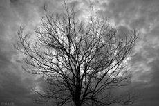 破解六煞加绝命风水五行桃花(绝命加六煞桃花满天下)