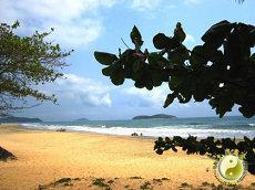 观音灵签宝岛版详细解读张成川婚姻爱情观音(观音灵签第4十九)