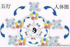 车载招财摆件有哪些招财风水生肖(汽车摆件招财保平安)