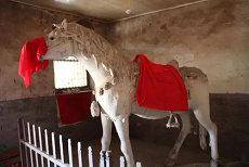 甲辰女命的正缘日柱桃花婚姻(甲辰女命理预测)