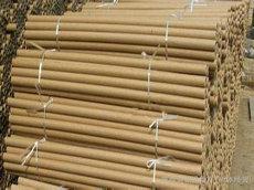 吉祥幸福画属龙属猪风水(属相为龙的本命年能穿红色吗)