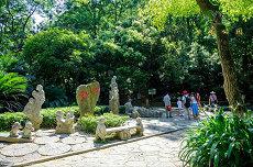 乙酉日柱生于甲戌月日柱乙酉乙酉日(乙酉日柱生于各月详细解读)