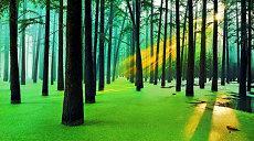 八字土多喜金水克什么五行缺水乙卯(火炎土燥八字遇金水)