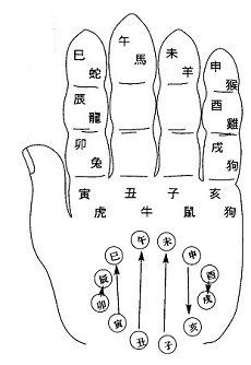 怎样用手指算天干地支天干生肖算命(天干地支用手指如何看)