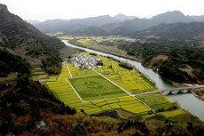 茶叶公司名字创意大气(共100个)(茶叶公司名称大全)