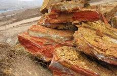 12星座中的金牛座简单介绍金牛座爱情太阳(十二星座里面的金牛)