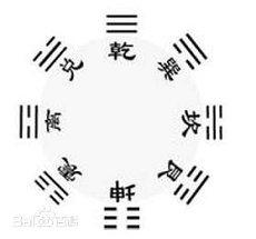 家中盆栽的摆放摆列风水风水五行植物(家中什么盆栽风水好)